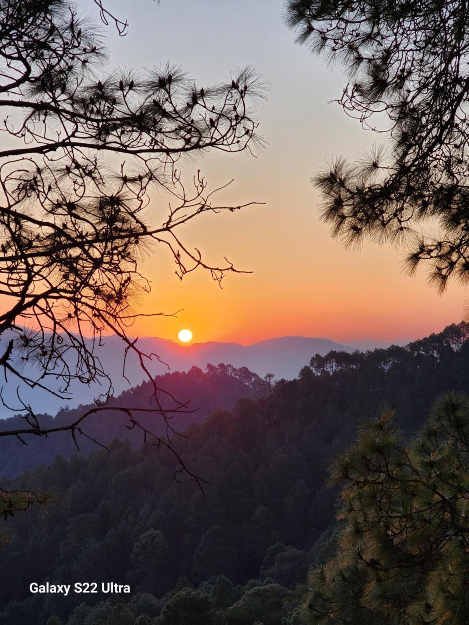 Nandini Cottage, A Premium Boutique Homestay Ranikhet Esterno foto